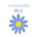 Camomilla Blu