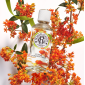 Roger&Gallet | Fleur d'Osmanthus Eau de Parfume | 30ml
