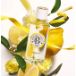 Roger&Gallet | Cedrat Eau de Parfume | 100ml