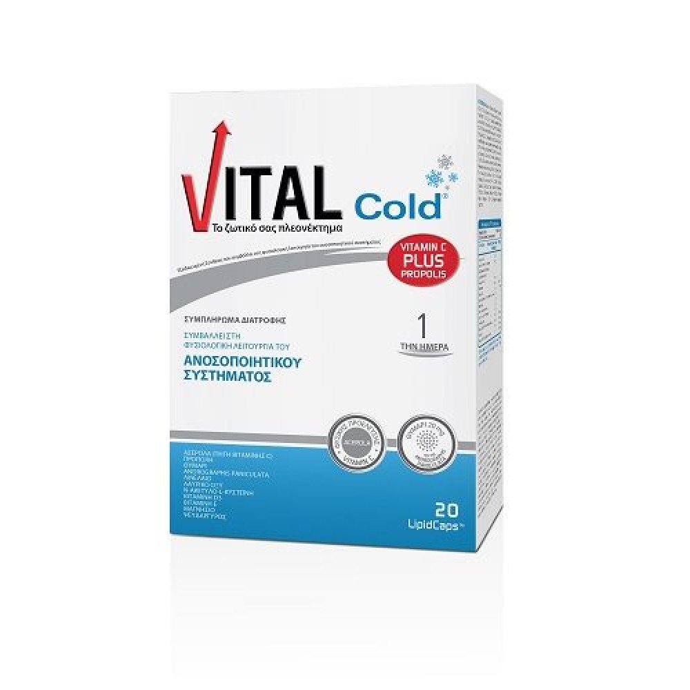 Vital | Cold | Συμπλήρωμα Διατροφής για Ενίσχυση του Ανοσοποιητικού Συστήματος |  20 Κάψουλες