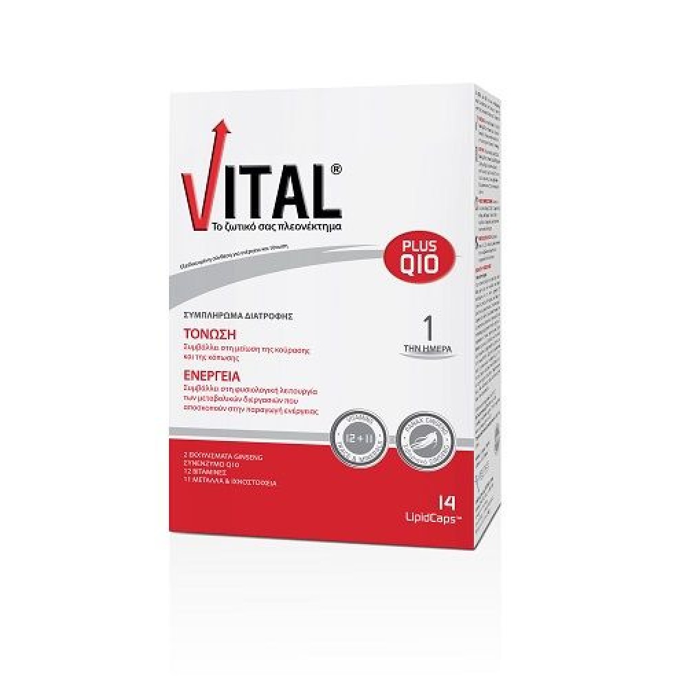 Vital | Plus Q10 | Συμπλήρωμα Διατροφής  Πολυβιταμίνη  με Q10 | 14 Κάψουλες